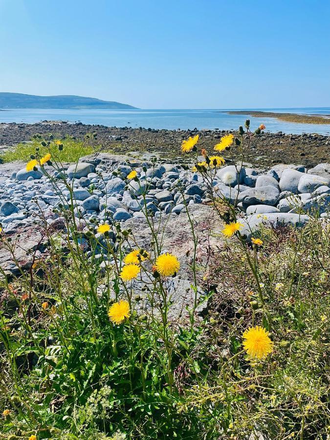 Cedar Lodge Self Catering Accommodation H91 Cf9D Gort Buitenkant foto